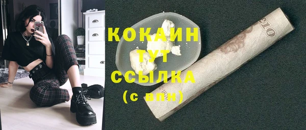 молекула духа Бородино