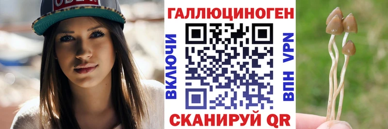Псилоцибиновые грибы Psilocybine cubensis нарко площадка Telegram Славянск-на-Кубани что такое наркотик